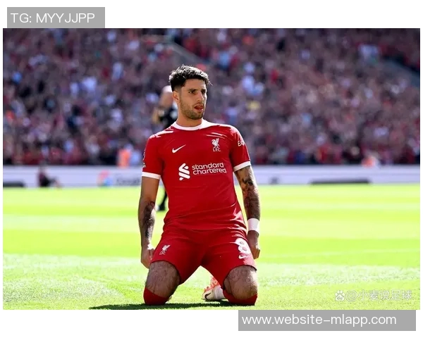 利物浦积极推动赫拉芬贝赫与索博斯洛伊续约事宜